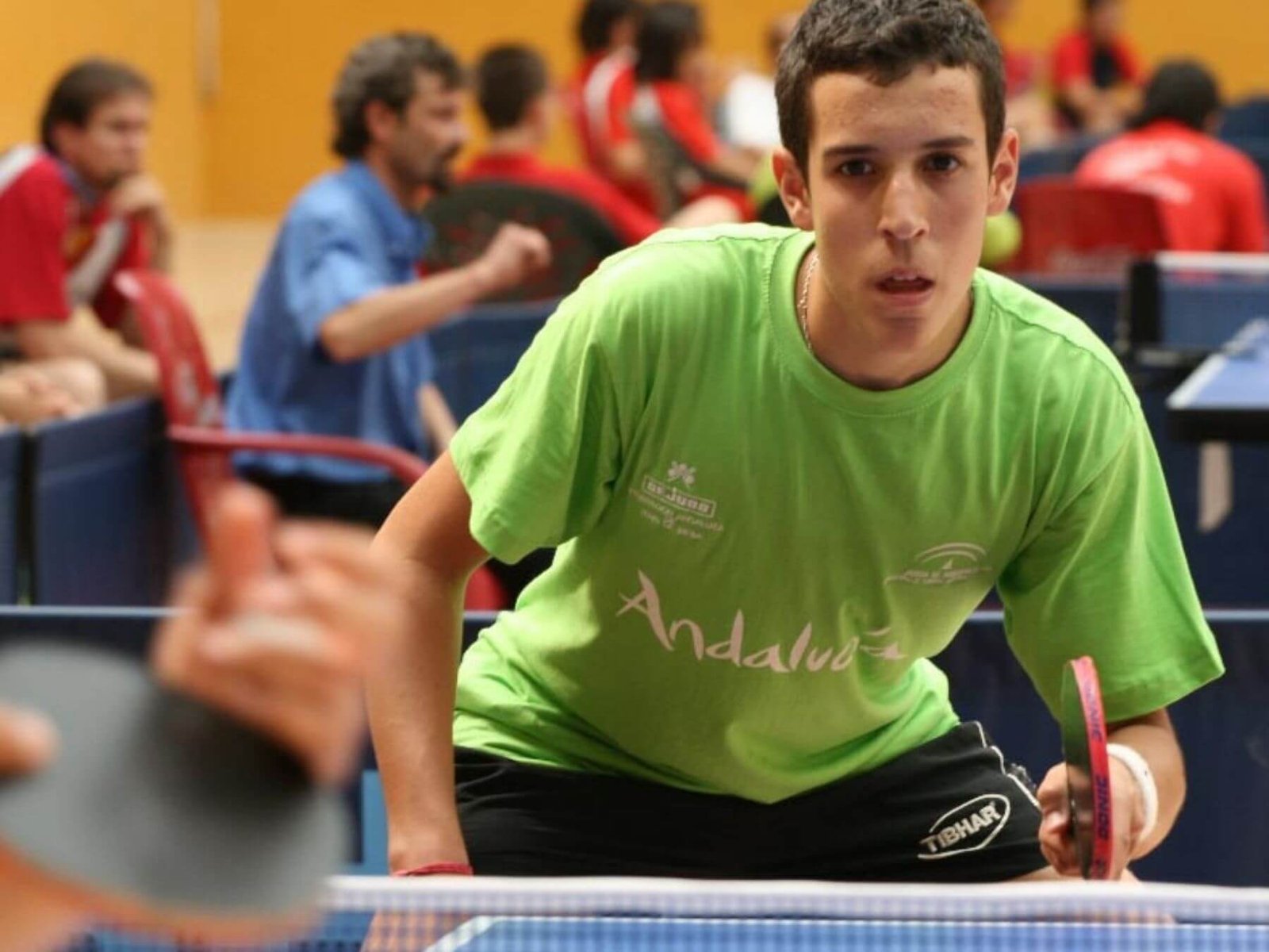 11 alvaro-robles-martinez-tenis-de-mesa-espana-ligas-profesionales-europeas-campeonatos-internacionales-dobles-equipos-representacion-internacional